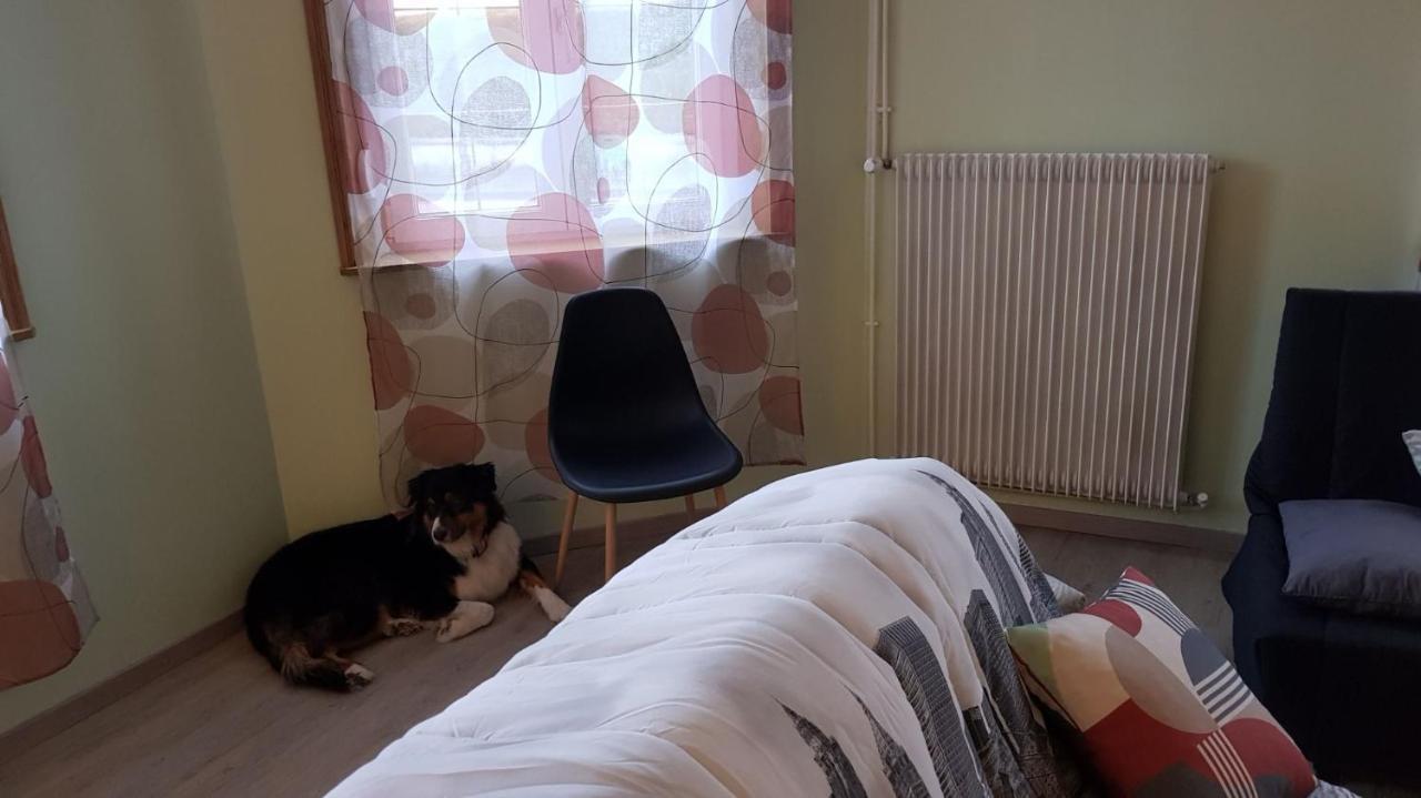 Hébergement de vacances La Maison De Lucette Fourmies